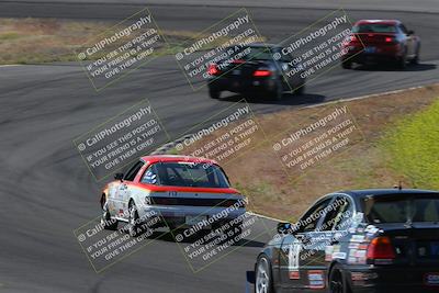 media/May-04-2024-Lucky Dog Racing (Sat) [[d39539b3f3]]/Practice I Qualifying (Turn 4a)/